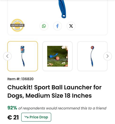 Chuckit! Dog Toy Ball Launcher. Rand new