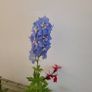 instant garden starter pack of 20 plants Image 4