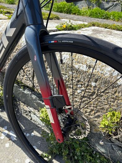54cm Trek Domane AL 5 Gen 3 Disc
