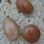 Peach Moonstone.Moonstone pebbles,Crystals, Image 2