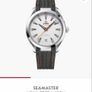 Omega Seamaster Aqua Terra Image 7