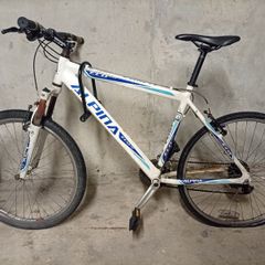 Bike Alpina