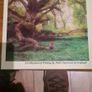How We Survived And Suprised. A Collection Of Writing By Polio Survivers In Ireland. Large Volume Book In Very Good Condition. Image 2