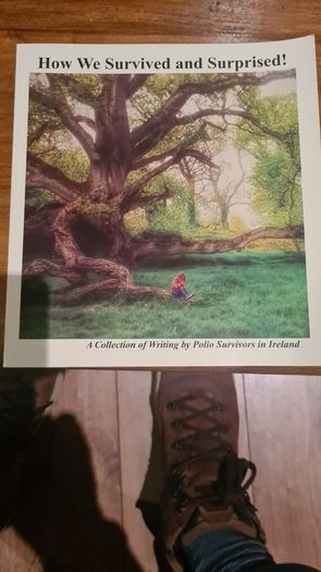 How We Survived And Suprised. A Collection Of Writing By Polio Survivers In Ireland. Large Volume Book In Very Good Condition.