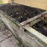 Top soil from raised bed Image 2