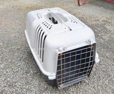 small pet carrier