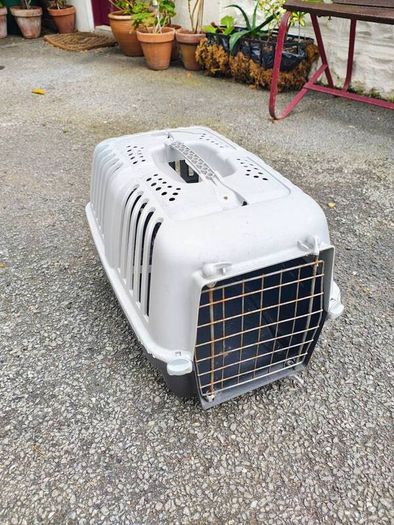 small pet carrier