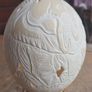 Dummie Khums ostrich egg, rare find, no damage, D18 Image 3