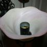 Ceiling Light Image 10