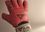 goalkeeper gloves