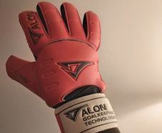 goalkeeper gloves