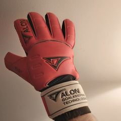 goalkeeper gloves