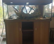 fish tank