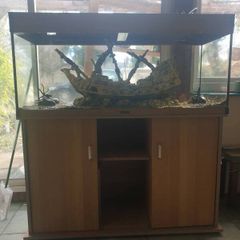 fish tank