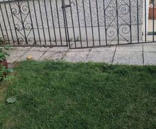 Gates for driveway