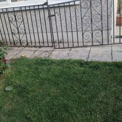 Gates for driveway