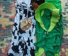 Adult cow + leprechaun costume