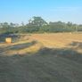 Round bales of Hay Image 5