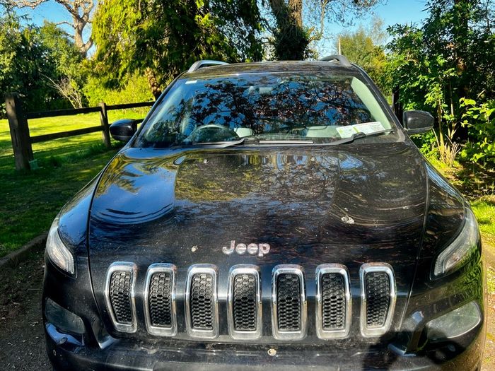 2014 Jeep Cherokee