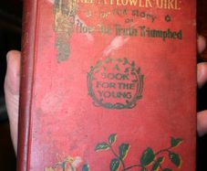 Only a Flower Girl (M. B. Paxton - 0)
