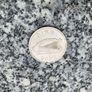 2000 Irish Red Deer Pound Coin Image 2