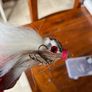 fishing lures Image 6