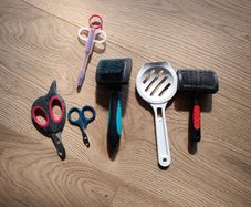 Cat Accessories Bundle Hair Brushes, Nail Clippers, Syringe