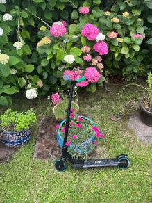 Qplay Honeycomb scooter features green handlebars and LED-lit wheels
