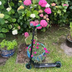 Qplay Honeycomb scooter features green handlebars and LED-lit wheels