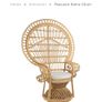 Peacock Chair Image 3
