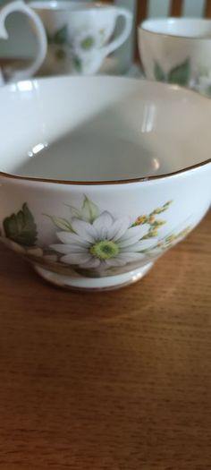 Vintage pretty Duchess Felicity 454 bone china