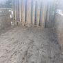 Cattle trailer Image 5