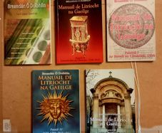 Five Brendan O Doibhlin Irish Books