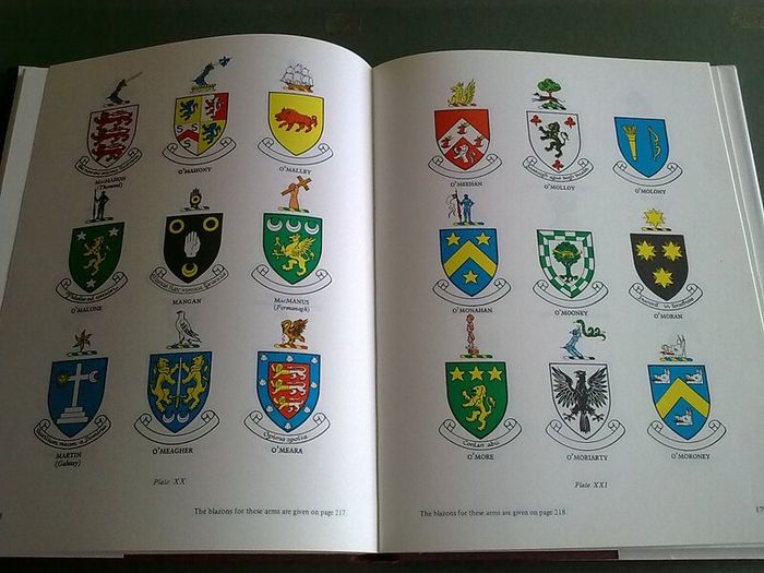 Irish Families Their names arms & origins Ireland Genealogy History