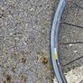Focus Cayo road bike Image 3