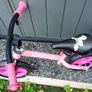 Balance Bike Image 3