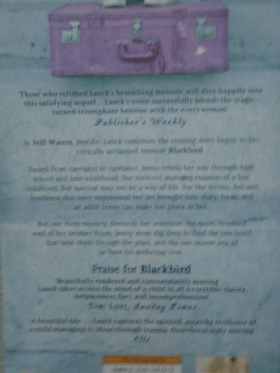 Still Waters, Jennifer Lauck, Paperback book. Non Fiction, Book