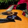 Taylor 818e USA made Grand Orchestra Image 3