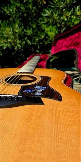 Taylor 818e USA made Grand Orchestra