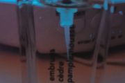 Bon Parfumeur