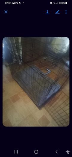 Large Dog Cage With Bed.