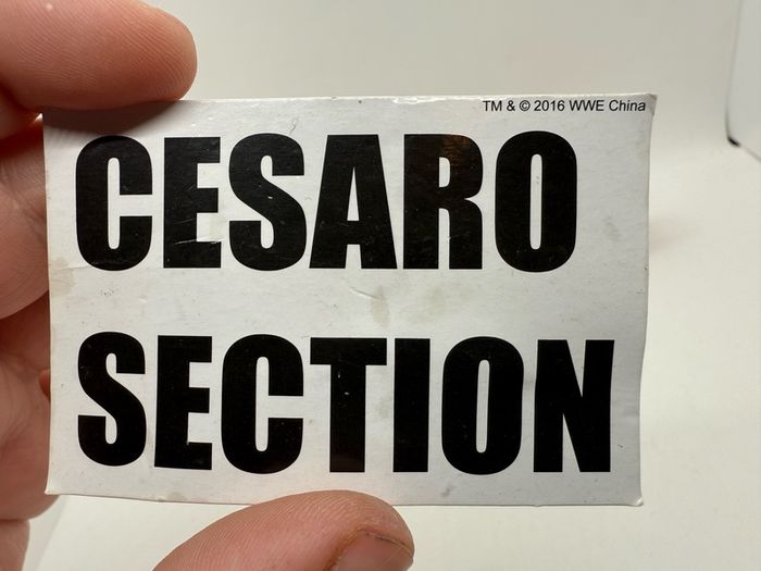 wwe elite series 47 Cesaro action figure