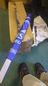 Leinster rugby flags