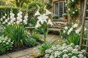7 White Flowering Plants