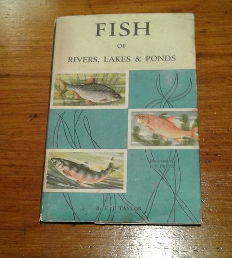 Fish of Rivers, Lakes & Ponds by FJTaylor
