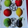 Peter Rabbit Gibraltar 2002 100 years coin stamps cover | Rare Image 8