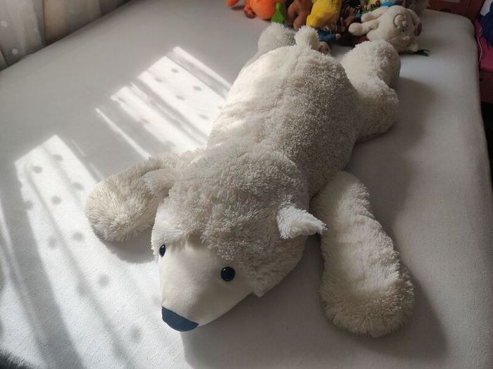 Taddy bear