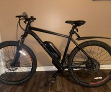 carrera e bike vengeance