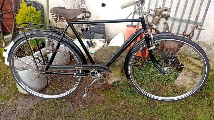 High nellie bike