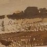 Strangford Lough by Ray Elwood Image 6